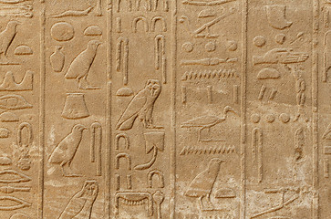 Image showing Ancient egypt hieroglyphs