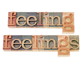 Image showing feelings in wood type in wood type