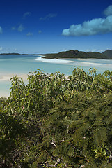 Image showing Whitehaven Beach, Australia