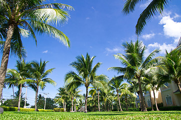 Image showing Garden 