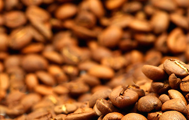 Image showing  coffee beans