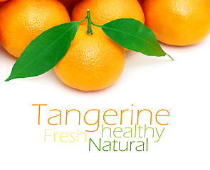 Image showing Tangerine