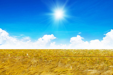 Image showing Field of wheat over blue sky