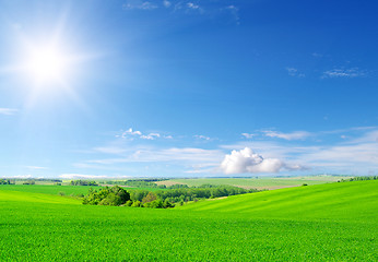 Image showing green field and blue sky