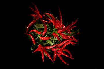 Image showing chili isolated on the black