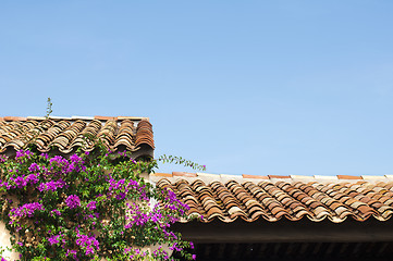 Image showing Tile roof and purple flowers