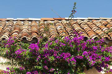 Image showing Tile roof and purple flowers