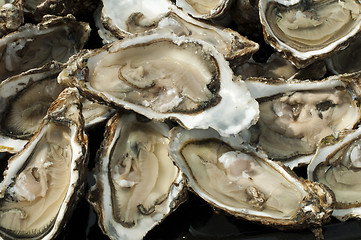 Image showing Oysters on a silver platter