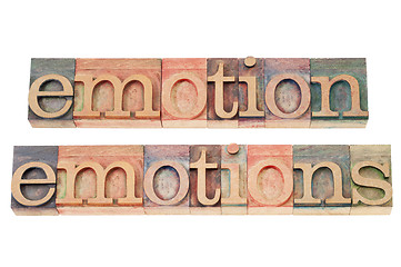 Image showing emotion in wood type