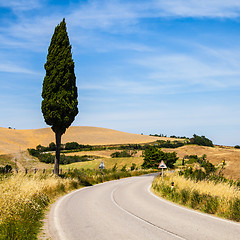 Image showing Road in Tuscany