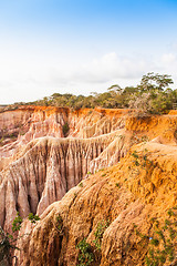 Image showing Marafa Canyon - Kenya