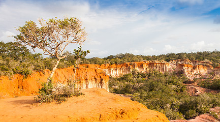 Image showing Marafa Canyon - Kenya