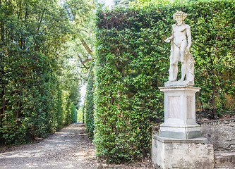 Image showing Boboli Gardens