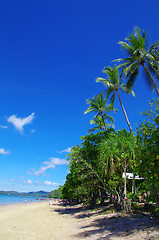 Image showing  tropical sea