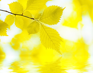 Image showing Autumn Background