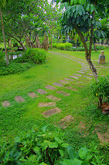 Image showing garden 