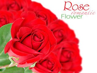 Image showing Red rose with leaves isolated on white