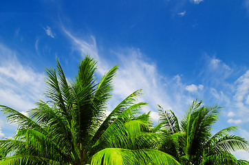 Image showing  blue sky