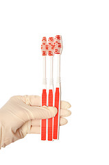 Image showing toothbrushes