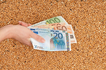 Image showing Monetary crop