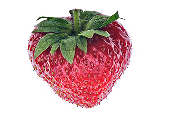 Image showing strawberry