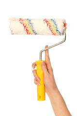 Image showing roller for redecorate flat