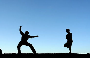 Image showing Martial arts