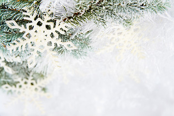 Image showing Snowy spruce branches