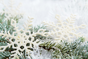 Image showing Snowy spruce branches