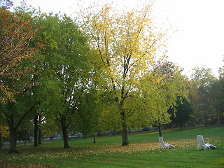 Image showing Autumn trees in park