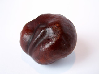 Image showing chestnut