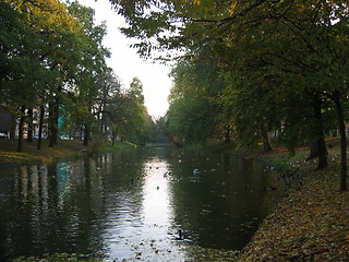 Image showing Singel