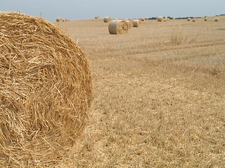 Image showing bales of straw