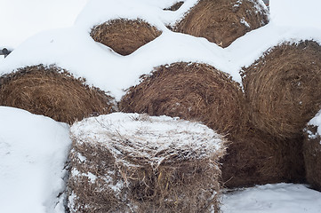 Image showing haystack in winter