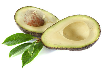 Image showing avocado