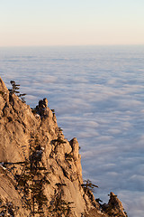 Image showing Sunlit cliffs and sea in clouds