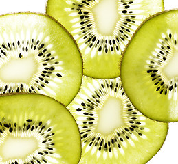 Image showing Kiwi Background