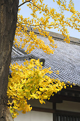 Image showing Autumn Japanese temple roof