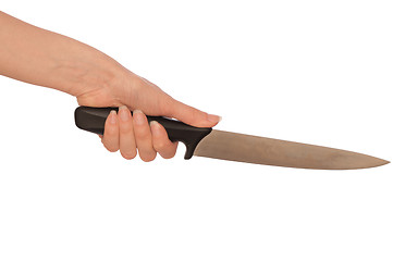 Image showing big knife