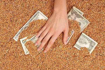 Image showing Monetary crop