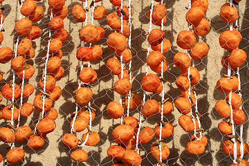 Image showing Persimmons drying