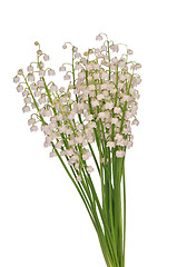 Image showing bouquet