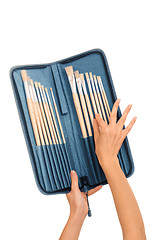 Image showing Set of brushes