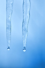 Image showing two icicles