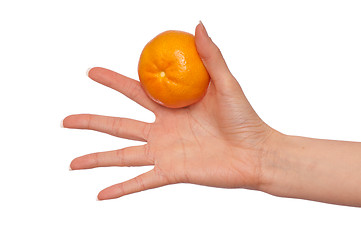 Image showing tangerine