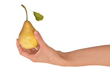 Image showing yellow pear