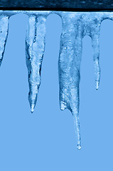 Image showing icicles