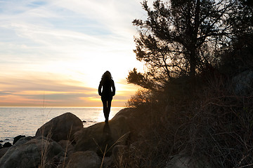 Image showing Silhouette at the Shore