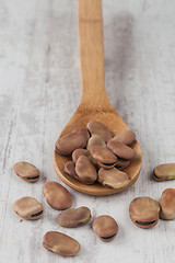 Image showing Broad beans