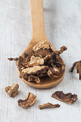 Image showing Dried mushrooms